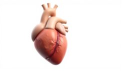 How to Recognize Early Signs of Congestive Heart Failure