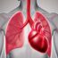 Pulmonary Hypertension: How to Improve Your Breathing