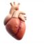 How to Recognize Early Signs of Congestive Heart Failure